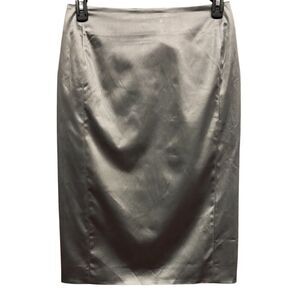 Susan Bender Knee Length Skirt in Platinum New With Tags Size 10